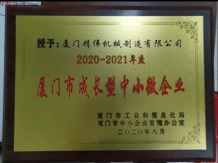 成長型(xing)中小微企業(ye)2020-2021